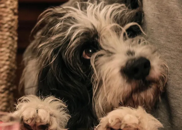 La Maravilla 3* Saint-Raphaël